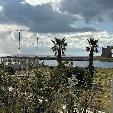 فيلة Raucci House *